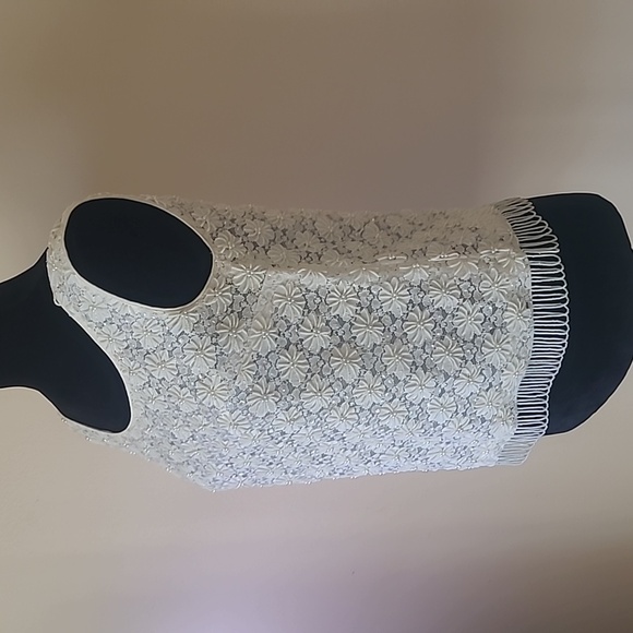 TheEverllitCo. Cashmere Angora beaded tank size 36 - Picture 4 of 11